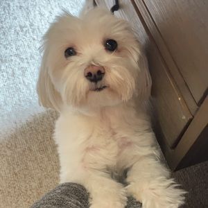 Meet your Posher, Vicky